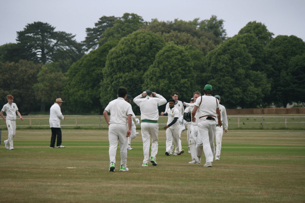Burgess Hill Senior Cricket